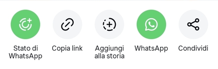 Scaricare video da instagram